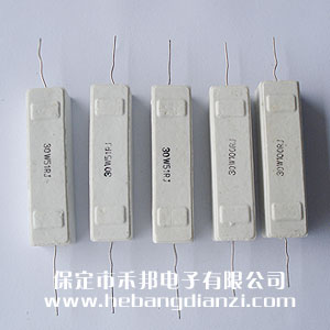 30W 水泥電阻