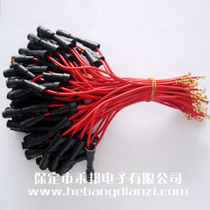 帶線(xiàn)保險(xiǎn)管套(6*30)