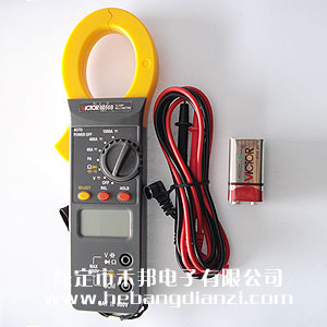 鉗形數(shù)字表VC6056B