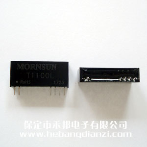 ���x׃���� T1100L