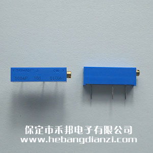 3006�λ��10K �M��